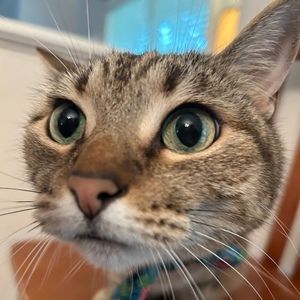 Meet your Posher, Zach